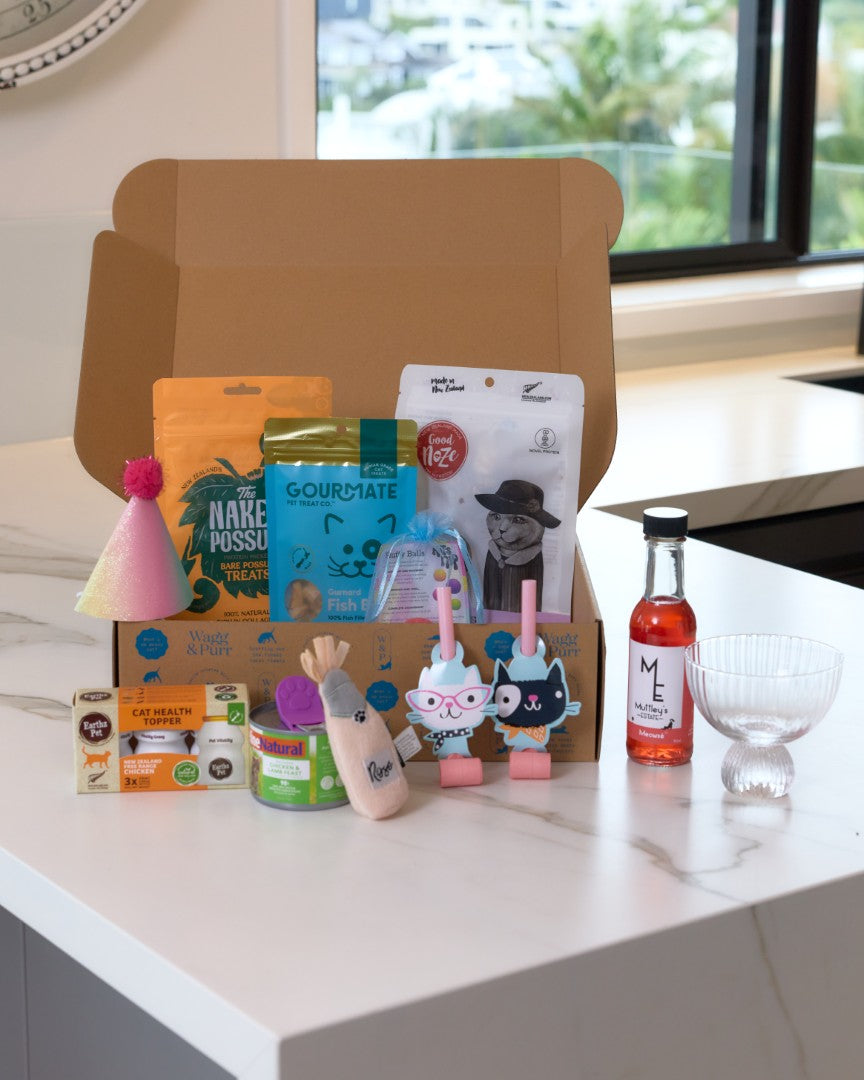 Cat Boxes
