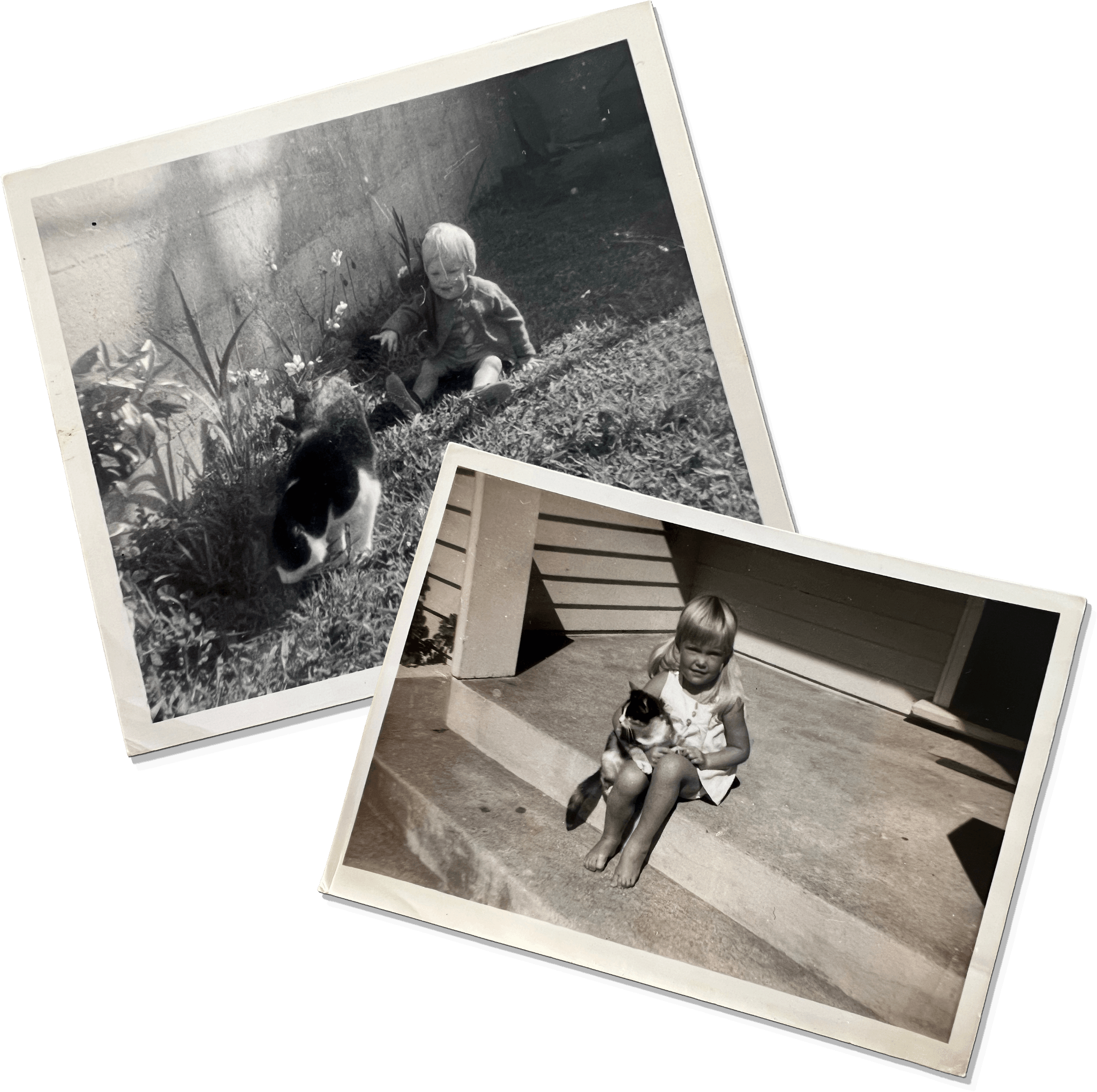 Two black and white photos of children with cats, one outdoors and one on a wooden deck.