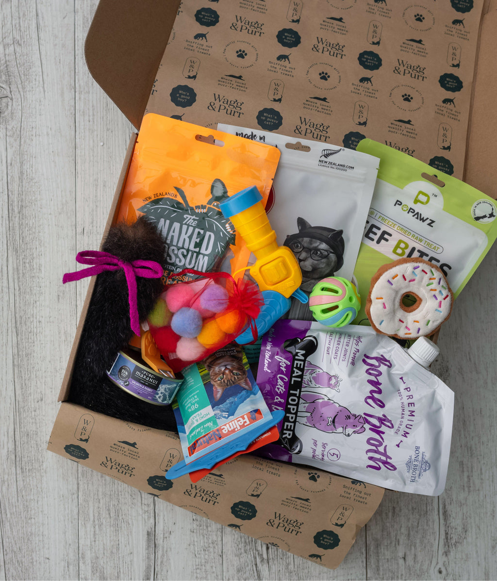 Cat treat and toy box with various pet products on a wooden surface
