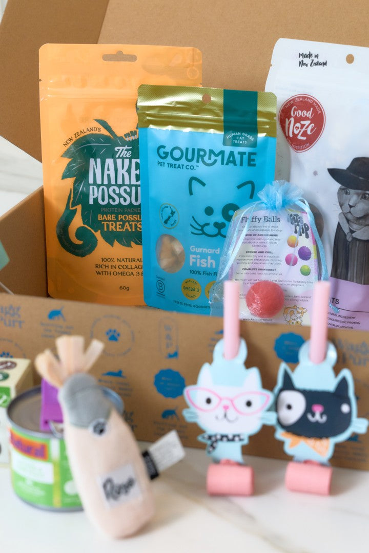 Happy Purr-day (or any day!)