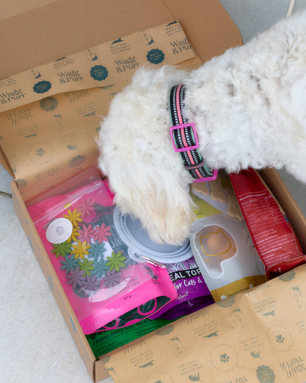 Dog with a collar peeking out from a box of pet products