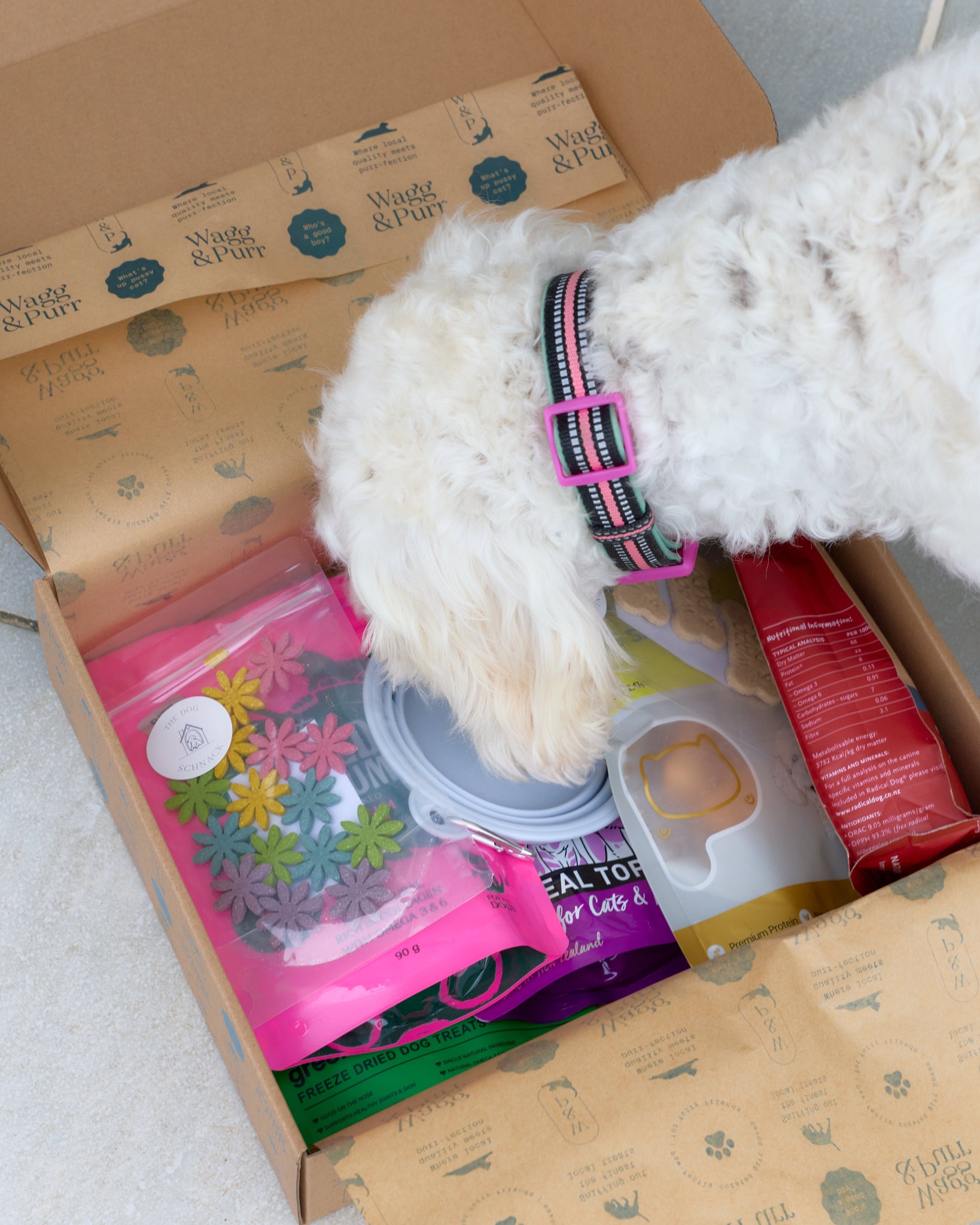 Dog with a collar peeking out from a box of pet products